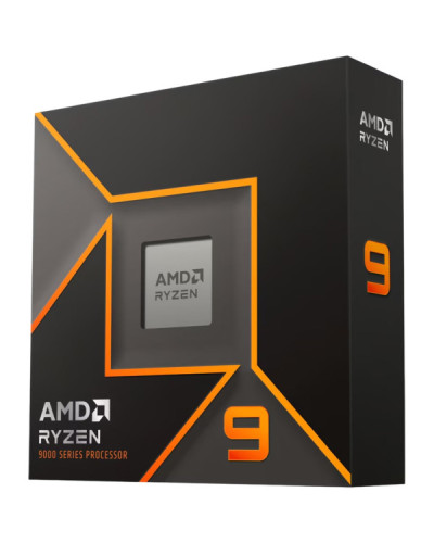 AMD Ryzen 9 9900X (100-100000662WOF)