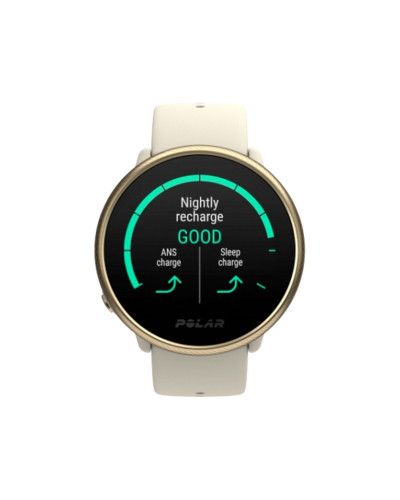 Polar Ignite 2 Gold & Champagne S/L (90085185)