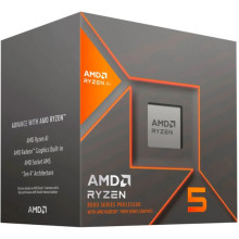 AMD Ryzen 5 8600G (100-100001237BOX)