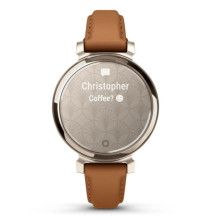 Garmin Lily 2 Classic Cream Gold with Tan Leather Band (010-02839-02/60)