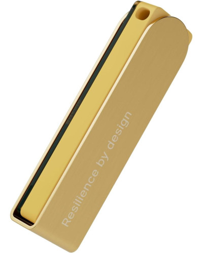 Ledger Nano X Gold