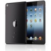 iPad mini iPad mini